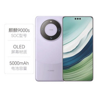 华为： Mate 60 Pro 5G