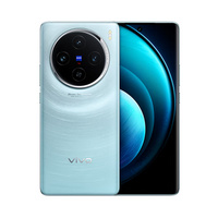 VIVO X100