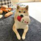珺