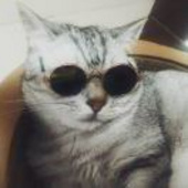 是瞿不是翟啊