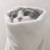 墙纸
