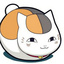 Connor_Zeng_