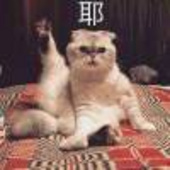 超级斌斌