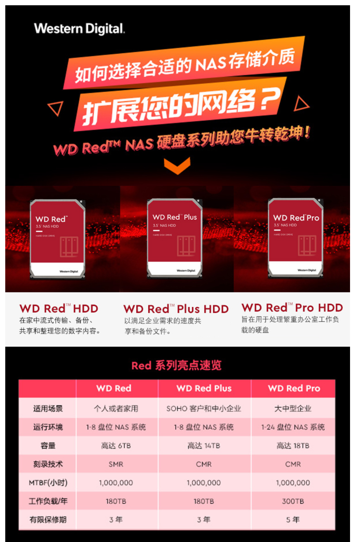 WesternDigital RED PLUS 内臓HDD12TB-