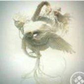????雨下大了没