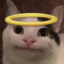 beluga折
