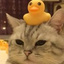 鸭梨