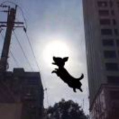 .