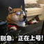 喵喵折用户