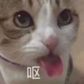 杯子里的笑声
