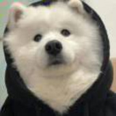泽啧泽啧啧