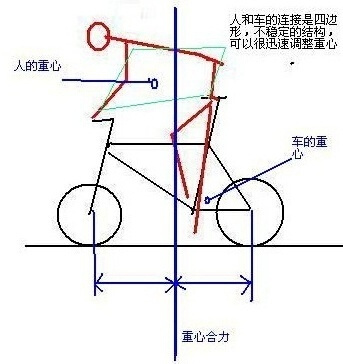 稳定形人口_稳定型人口