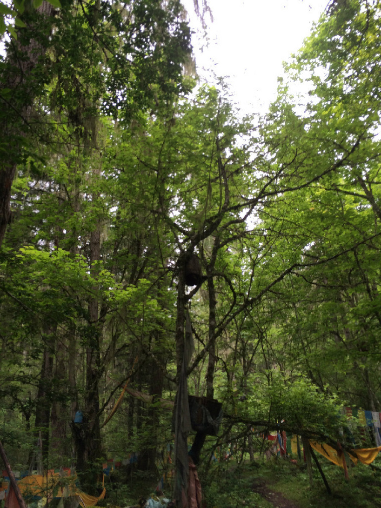 一个好姑娘一匹小野马一路向西行单车闯新藏