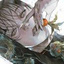 纳沙