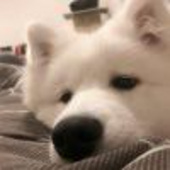 Waaa