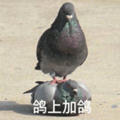 一碟沙罗酱