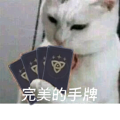 喵喵折用户