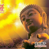 冷月花魂