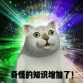 粉红喵喵枪