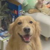 动次打次