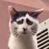 不语