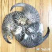 3聿
