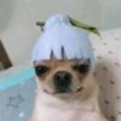 沨