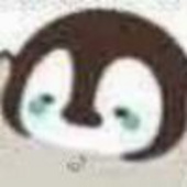 小黑