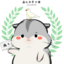 鸽宗