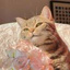 财