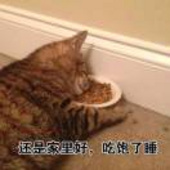 陈陈陈