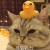士多皮梨