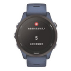 佳明： Forerunner255 普通版马拉松跑步骑行游泳多功能科学训练心率血氧铁人三项蓝牙连接多频卫星定位运动电子智能男女手表