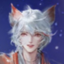 一只小猫咪