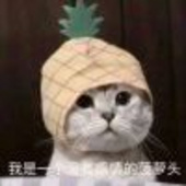 另一个自己