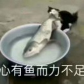 怎么样