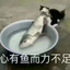 怎么样
