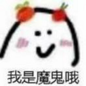 是白泽鸭
