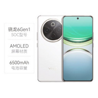  vivo Y300 Pro 5G
