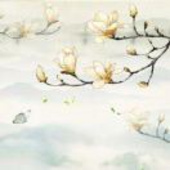 亦尘归尘