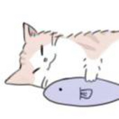 娃哈哈