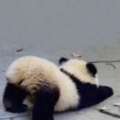 如你