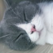 金水