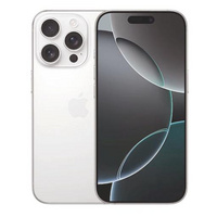 苹果： iPhone 16 Pro Max 5G