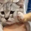 ʎɐʍ$