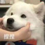 饭醉咸鱼人