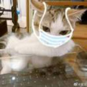 一个没有感情的杀