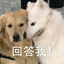 永日月