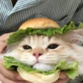 °т°