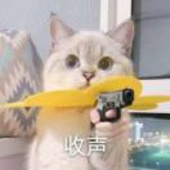 wangshuo